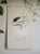 2012 CALENDAR - FLOWERS & FEATHERS<br>8.5 x 14"